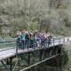Tolmin 015